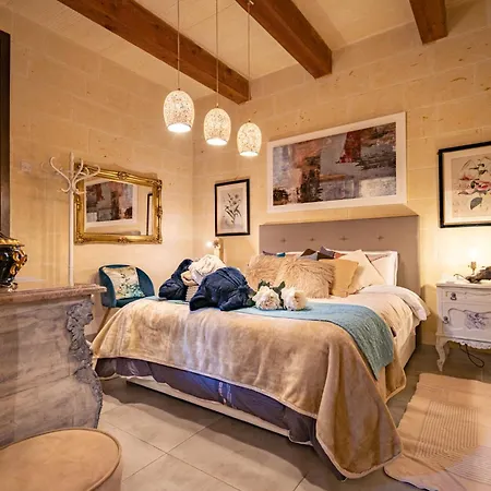 Ajuga Luxury Boutique 4* 加拉